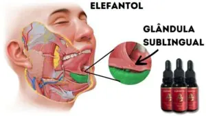 Modo de Uso Sublingual
